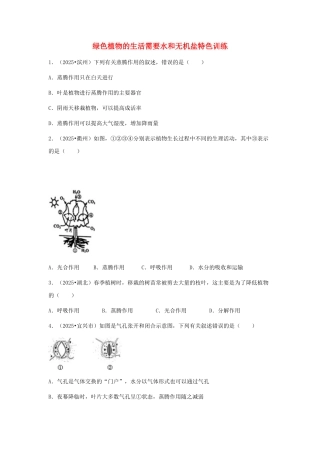 中考生物复习---绿色植物的生活需要水和无机盐特色训练