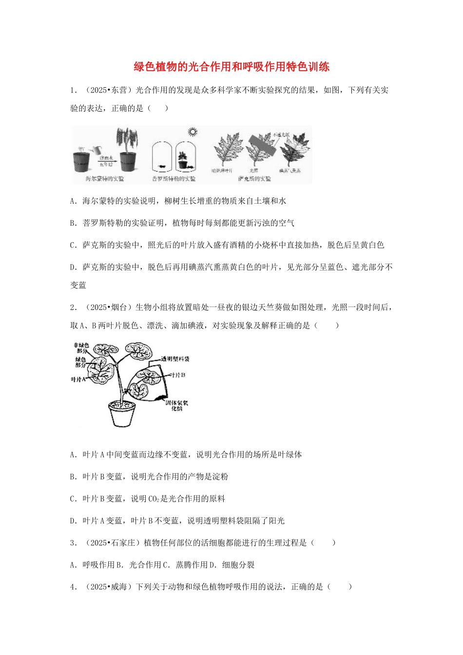 中考生物复习---绿色植物的光合作用和呼吸作用特色训练_第1页