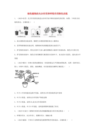 中考生物复习---绿色植物的光合作用和呼吸作用特色训练