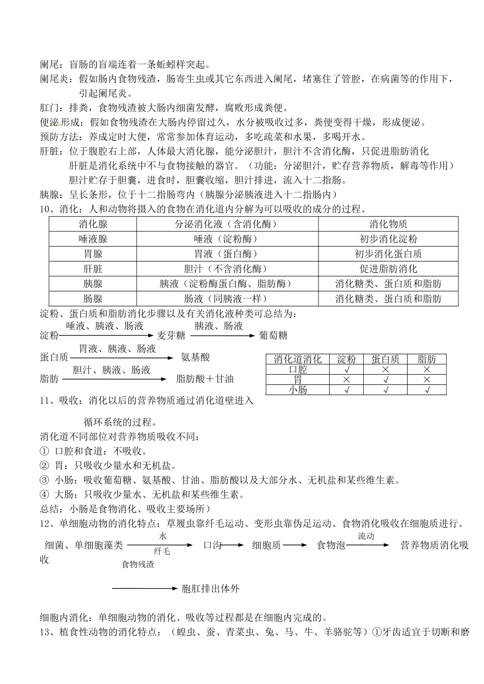 中考生物总复习提纲_第3页