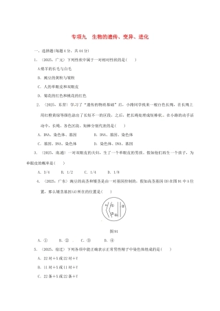 中考生物第一轮复习-专项九-生物的遗传变异进化训练