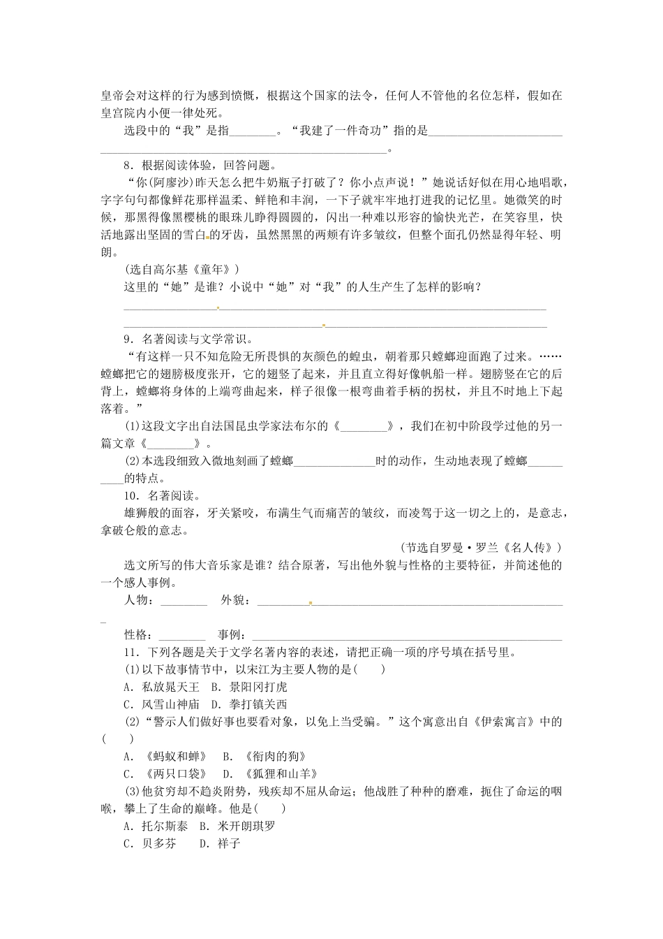 中考语文-全程专题突破复习导练-名著阅读外国_第3页