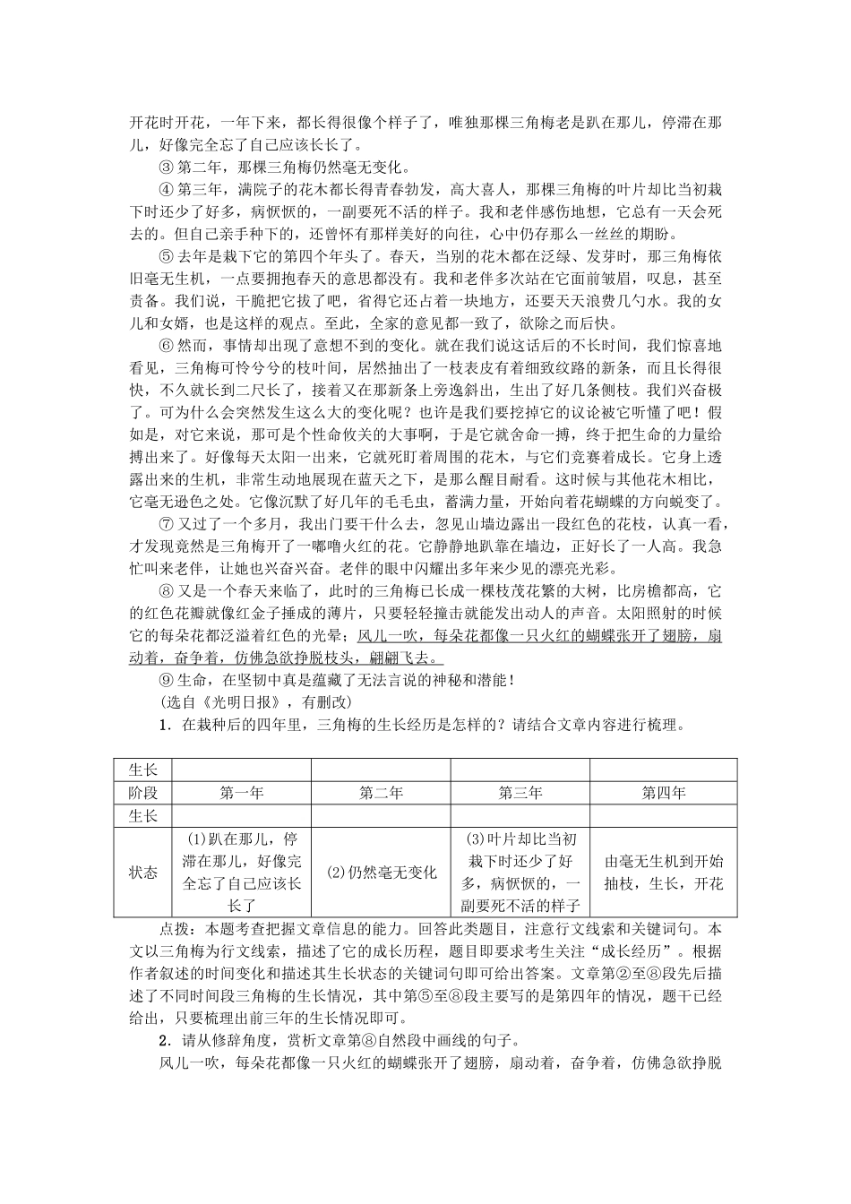 中考语文-考点跟踪突破16-记叙文线索与情节1_第3页
