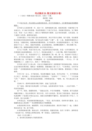 中考语文-考点集训28