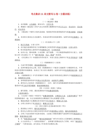 中考语文-考点集训19