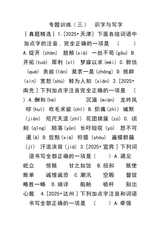 中考语文总复习二积累与运用专题训练识字与写字
