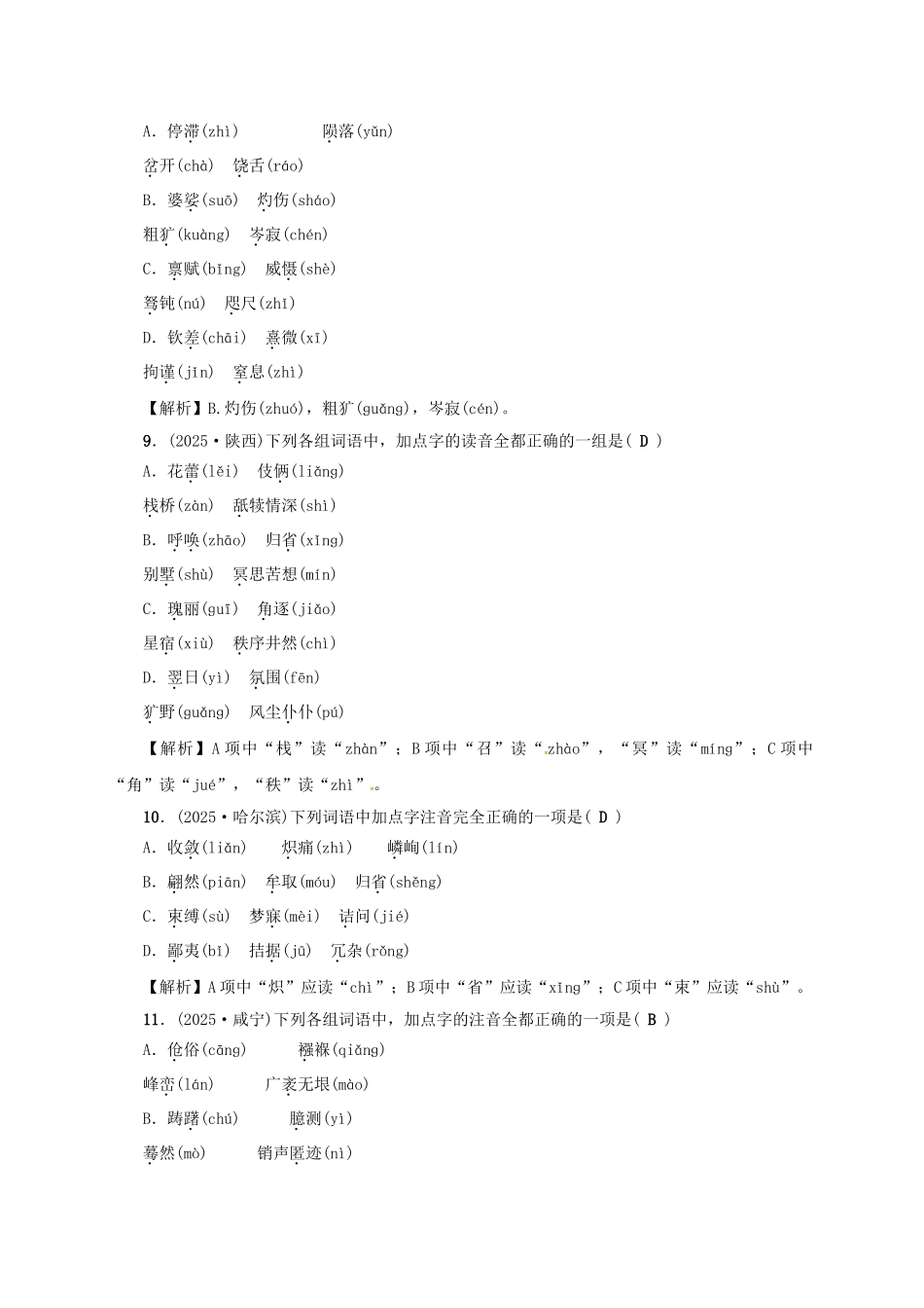 中考语文考点复习-考点跟踪突破-语音与汉字1_第3页