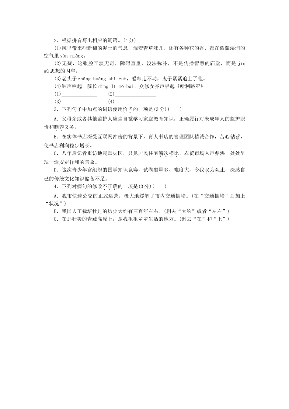 中考语文试题研究--基础综合训练_第3页