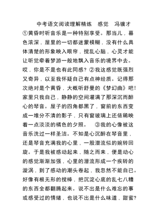 中考语文阅读理解精练及答案