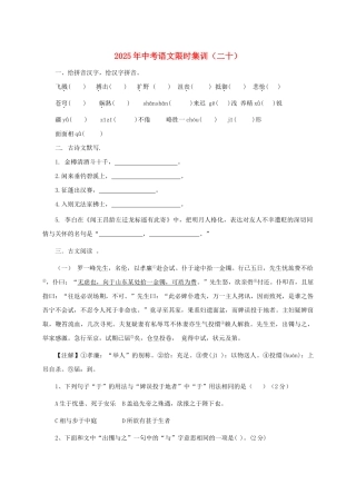 中考语文限时集训二十