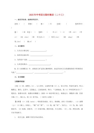 中考语文限时集训二十三
