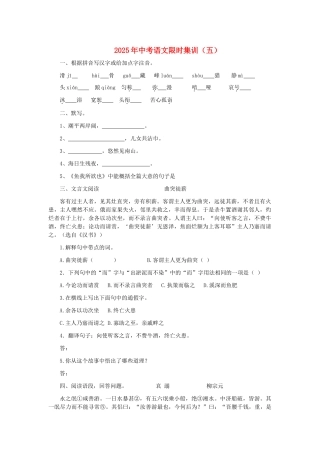中考语文限时集训五