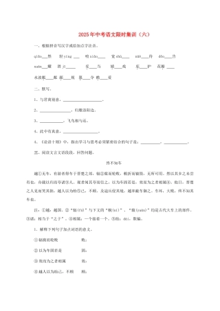 中考语文限时集训六