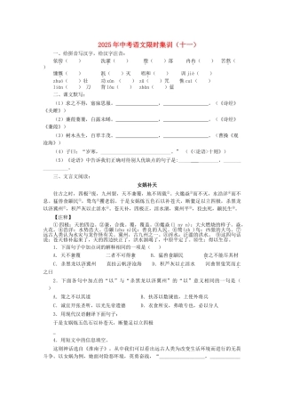中考语文限时集训十一