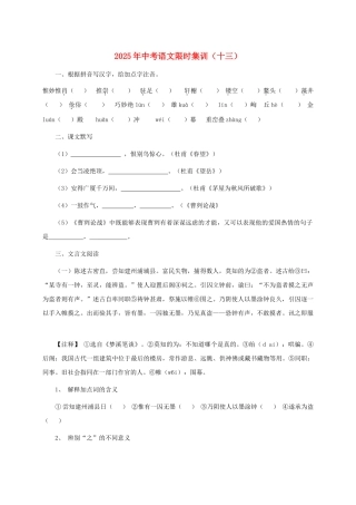 中考语文限时集训十三