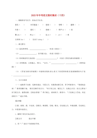 中考语文限时集训十四