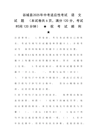 中考适应性考试语文试题附答案