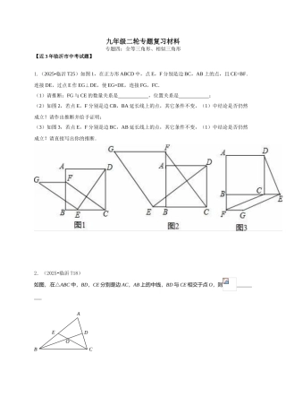 临沂市中考数学二轮专题复习材料十全等三角形