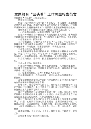 主题教育“回头看”工作总结报告范文