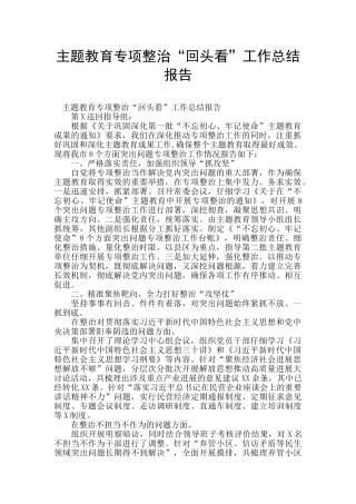 主题教育专项整治“回头看”工作总结报告