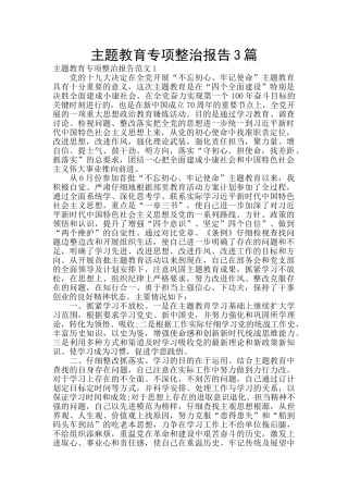 主题教育专项整治报告3篇