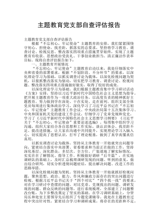 主题教育党支部自查评估报告