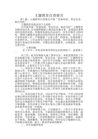 主题教育自查报告