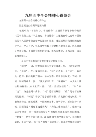 九届四中全会精神心得体会