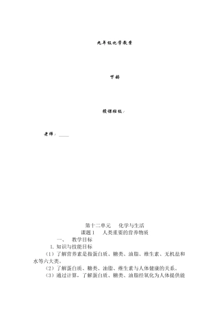 九年级下册化学教案全册