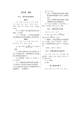 九年级下册化学练习册答案