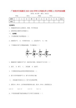 九年级化学11月月考试题1
