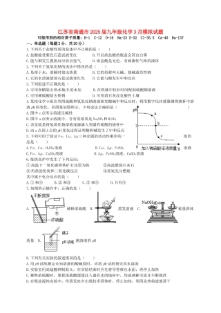 九年级化学3月模拟试题无答案