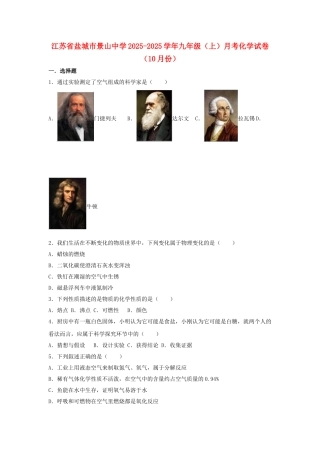 九年级化学上学期10月月考试卷含解析-新人教版10