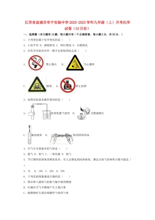 九年级化学上学期10月月考试卷含解析-新人教版12