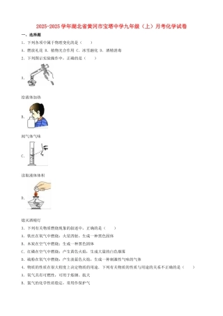 九年级化学上学期10月月考试卷含解析-新人教版14