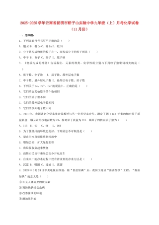 九年级化学上学期11月月考试卷含解析-新人教版