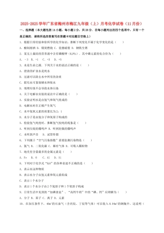 九年级化学上学期11月月考试卷含解析-新人教版1