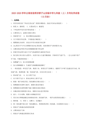 九年级化学上学期12月月考试卷含解析-新人教版