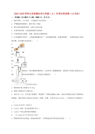 九年级化学上学期12月月考试卷含解析-新人教版1
