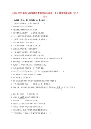 九年级化学上学期12月段考试卷含解析-新人教版