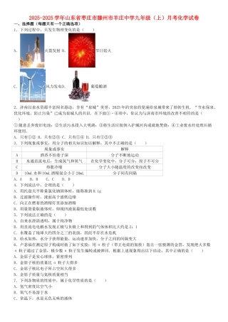 九年级化学上学期月考试卷含解析-新人教版1