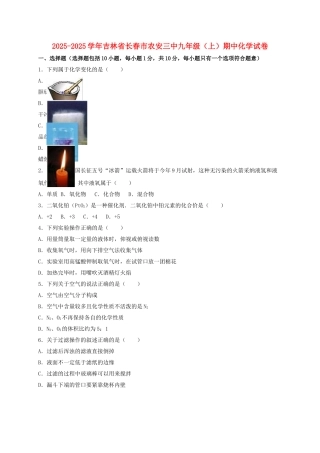 九年级化学上学期期中试卷含解析-新人教版