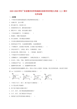 九年级化学上学期期中试卷含解析-新人教版13
