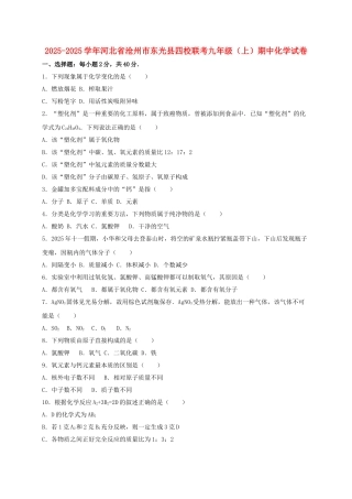 九年级化学上学期期中试卷含解析-新人教版28