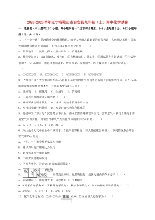 九年级化学上学期期中试卷含解析-新人教版41