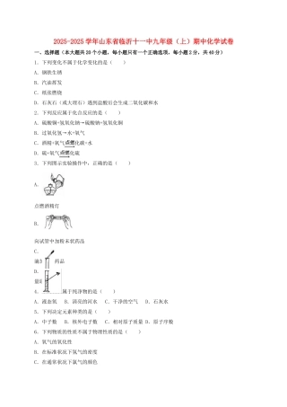 九年级化学上学期期中试卷含解析-新人教版6