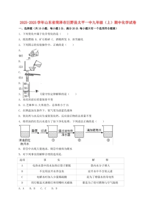 九年级化学上学期期中试卷含解析-新人教版9