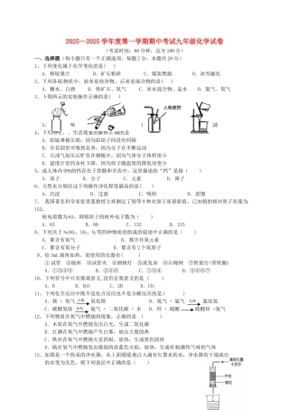 九年级化学上学期期中试题-新人教版10