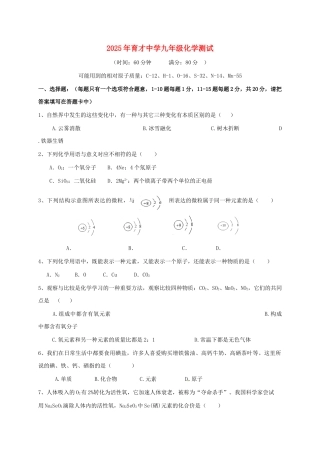 九年级化学上学期期中试题-新人教版4