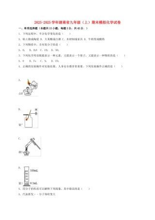 九年级化学上学期期末模拟试卷含解析-新人教版2